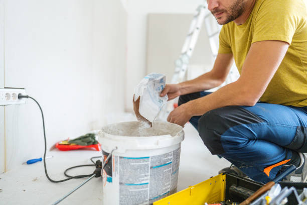 Best Water Damage & Mold Remediation  in Homosassa, FL