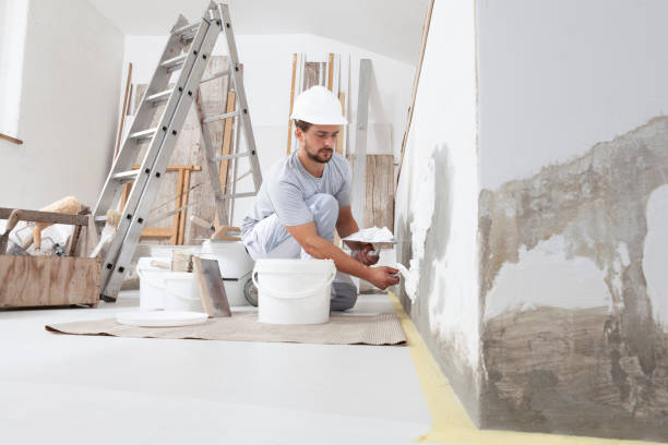 Best Mold Remediation for Healthcare Facilities  in Homosassa, FL