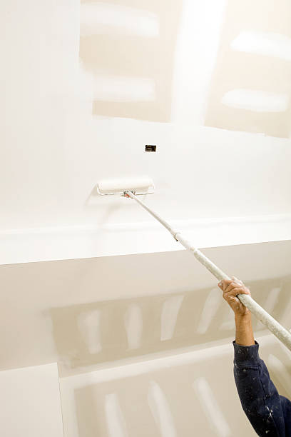 Mold Odor Removal Services in Homosassa, FL