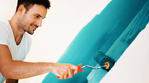 Homosassa, FL Mold Removal Company