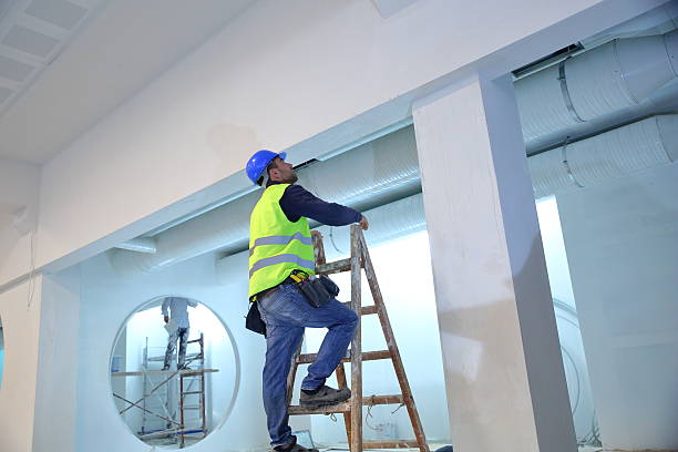 Best Mold Odor Removal Services  in Homosassa, FL